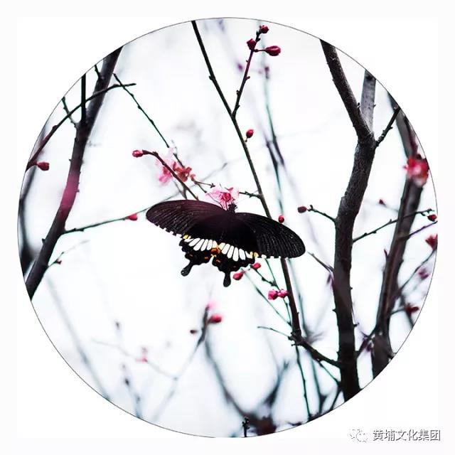 微信圖片_20180314150309.jpg 微信圖片_20180314150309.jpg